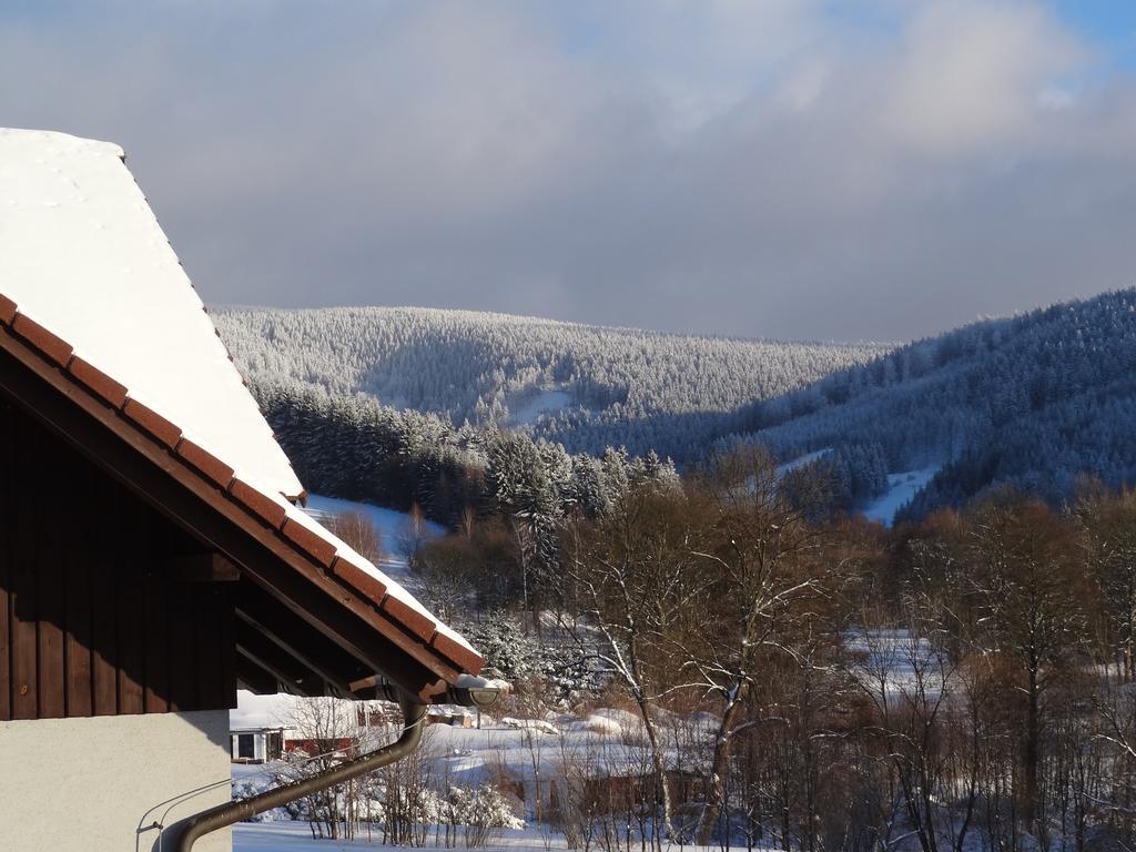 Pension Arnika Destne v Orlickych horach Exterior foto
